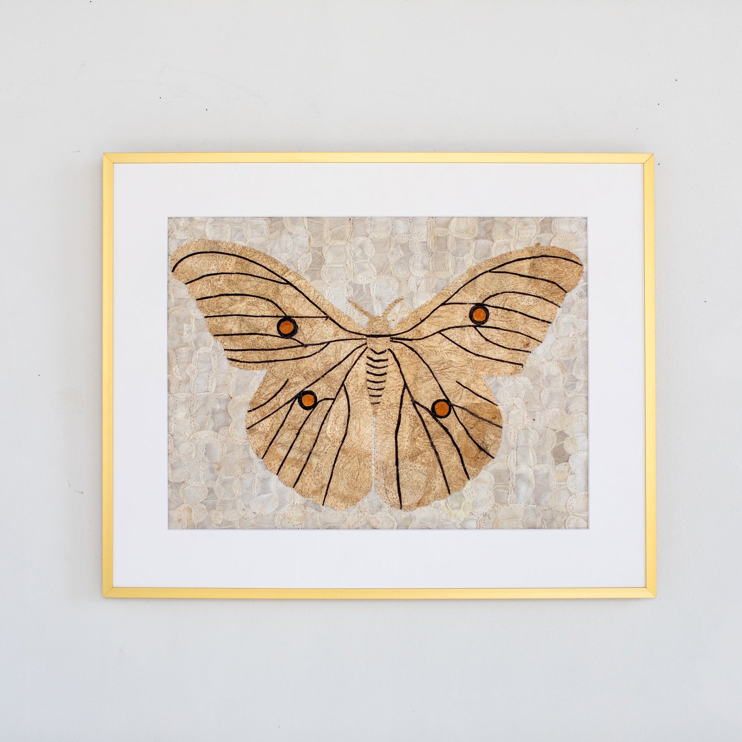 Wild Silk Moth Wall Art - Natural