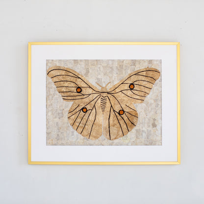Wild Silk Moth Wall Art - Natural
